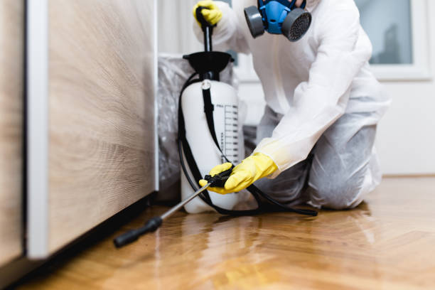 Best Local Pest Control Services  in Brooklyn Center, MN