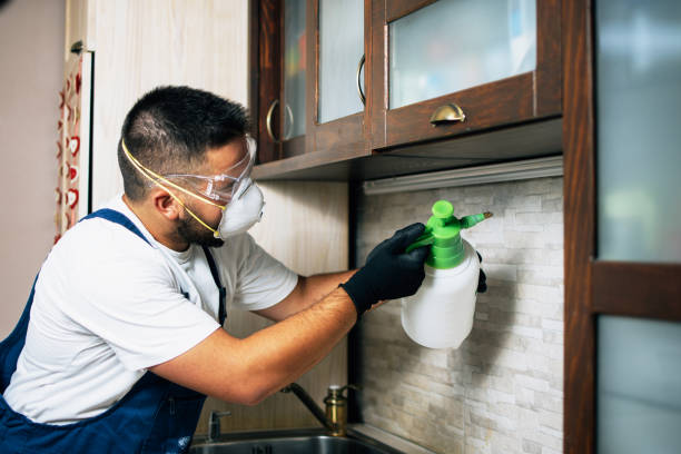 Best Pest Removal Services  in Brooklyn Center, MN