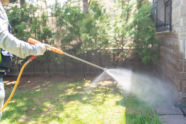 Best Wasp Removal Services  in Brooklyn Center, MN