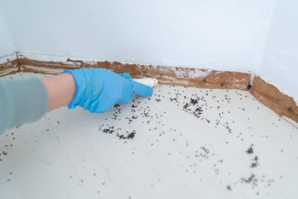 Best Pest Inspection Near Me  in Brooklyn Center, MN